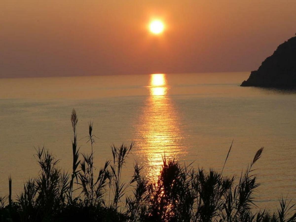 فيلا Un Gioiello Con Vista Mare مونيلّي المظهر الخارجي الصورة
