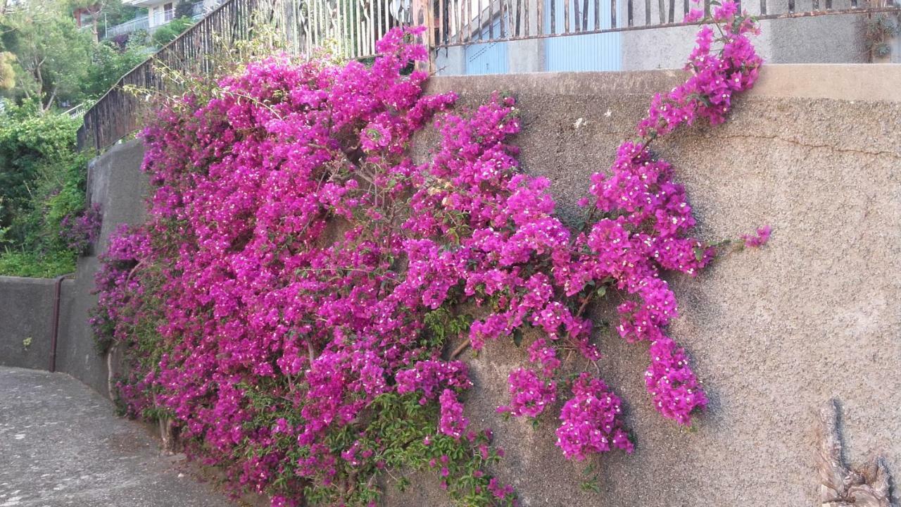 فيلا Un Gioiello Con Vista Mare مونيلّي المظهر الخارجي الصورة