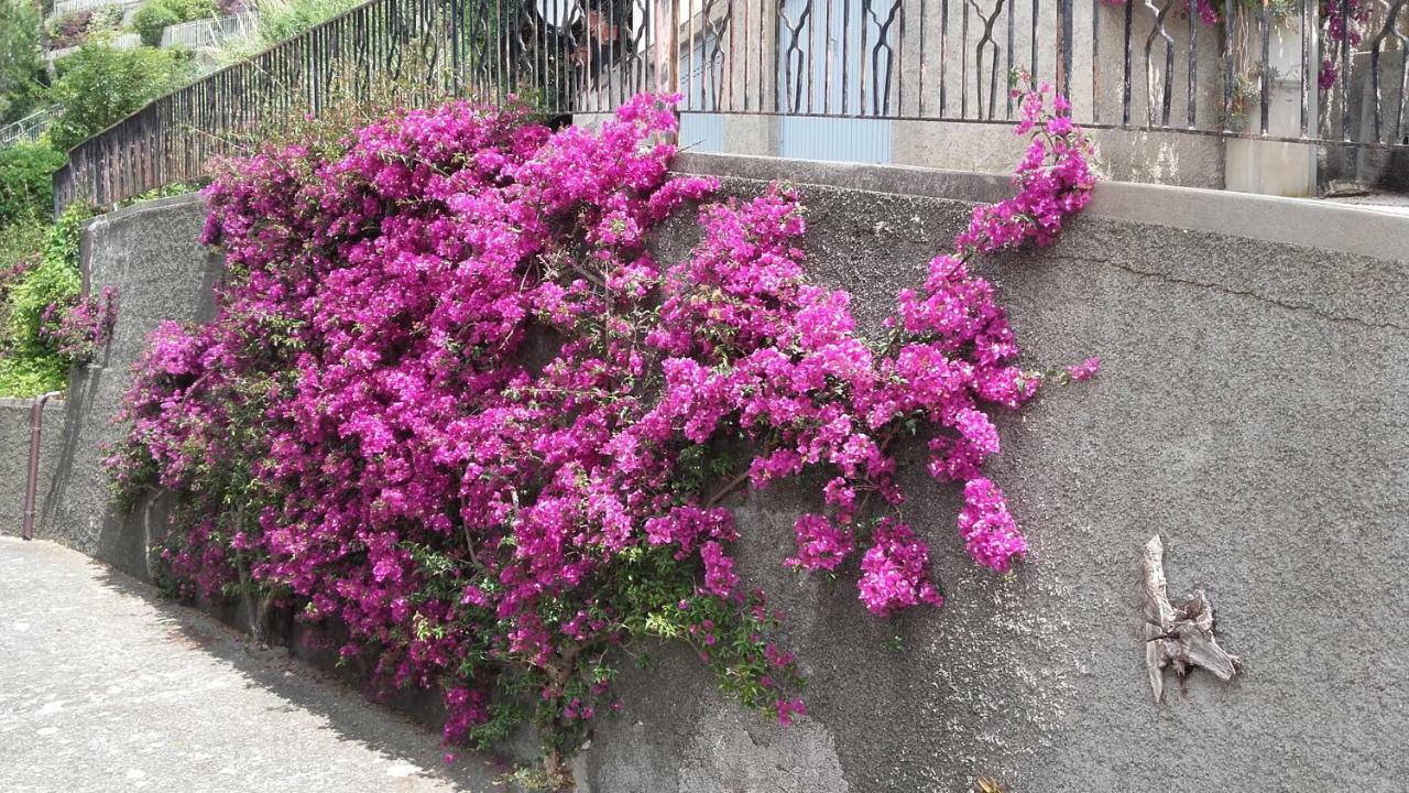 فيلا Un Gioiello Con Vista Mare مونيلّي المظهر الخارجي الصورة